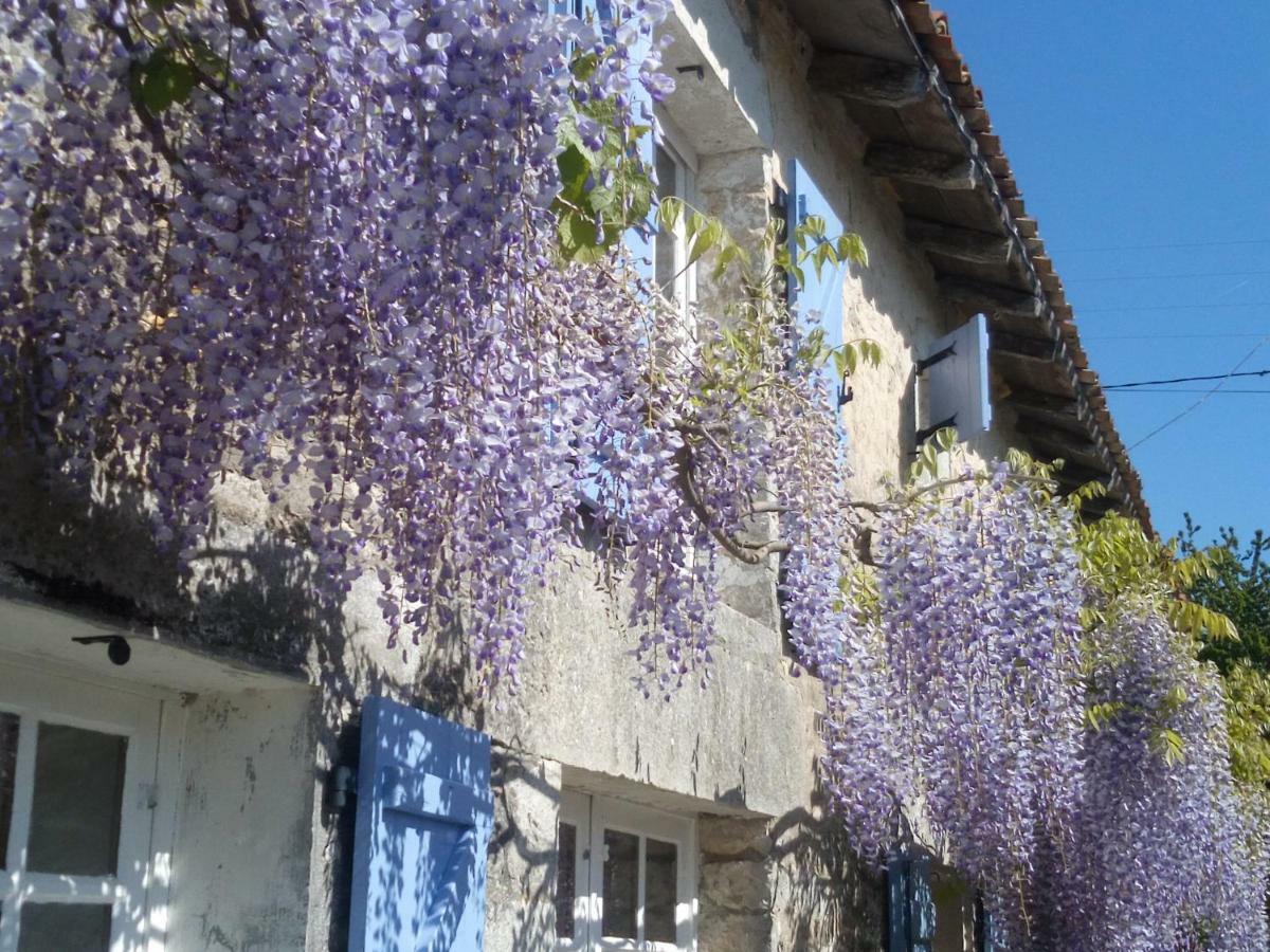 Chat Noir Gite Et Chambre D'Hotes Genouille  Esterno foto
